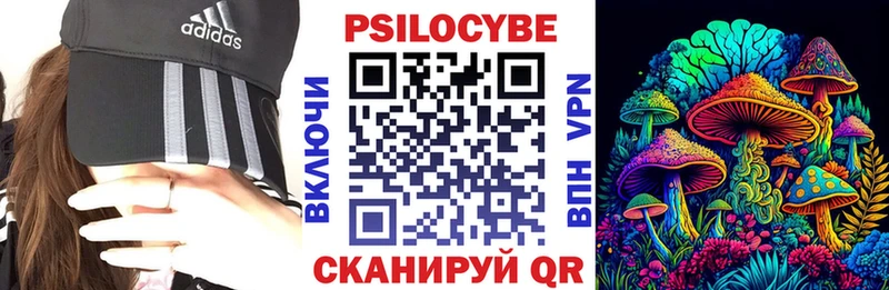 Галлюциногенные грибы прущие грибы  Купить где  Зубцов 